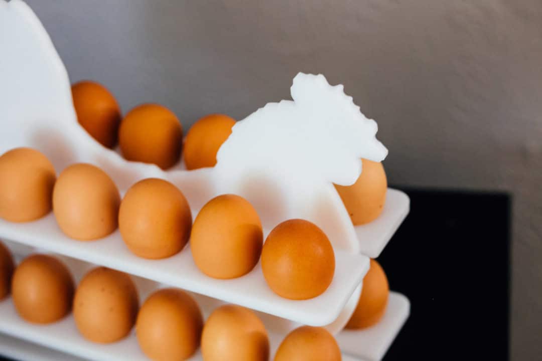 Chicken Egg Holder