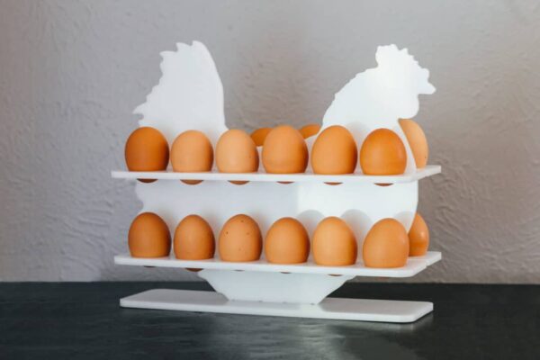 chicken egg holder
