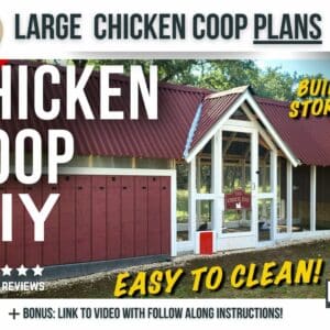Large Chicken Coop (With Storage) Plans